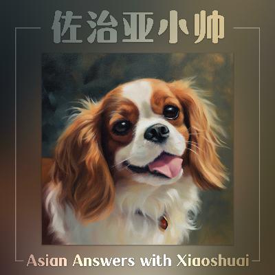 S7E8 被迫内卷的孩子,是华人父母不安全感的投射|罗娜:不能简单总结我们是做富二代培养的 S7E8 被迫内卷的孩子,是华人父母不安全感的投射|罗娜:不能简单总结我们是做富二代培养的