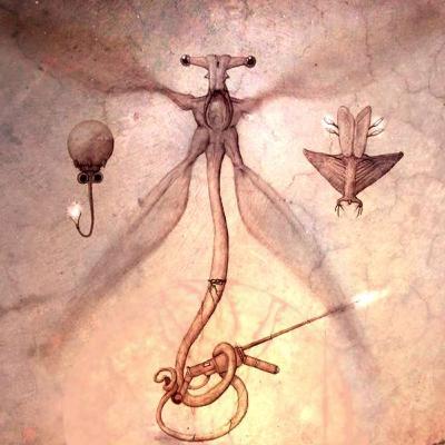 Episode 19: World Building with sci-fi artist and writer C.M. Koseman