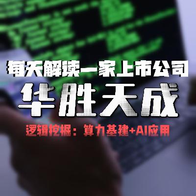 每天解读一家上市公司：华胜天成