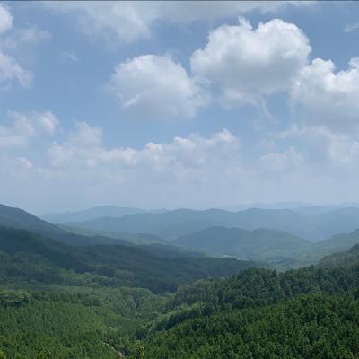 居心地の良いお店になるには。 居心地の良いお店になるには。