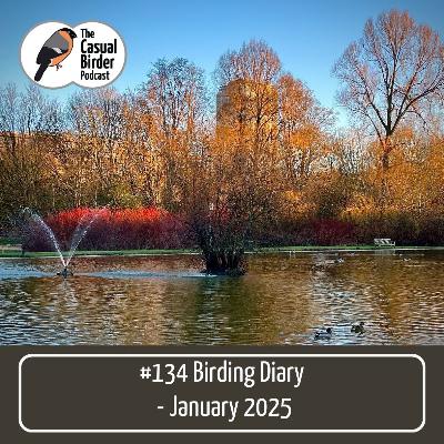 Birding diary - January 2025