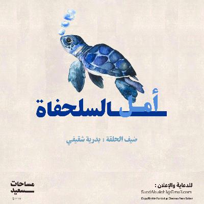 أمل السلحفاء 🐢