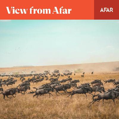 Has East Africa's Great Migration Become Too Popular?