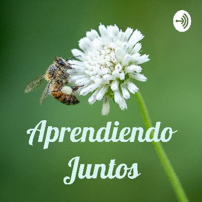 La exposición a pantallas y su impacto en el aprendizaje de los niños. La exposición a pantallas y su impacto en el aprendizaje de los niños.
