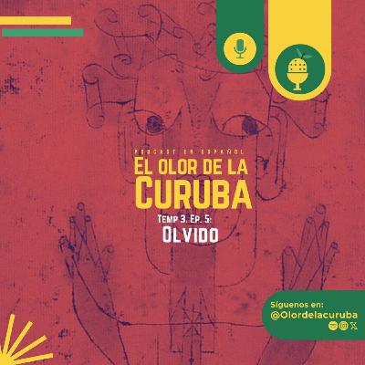 5. Olvido