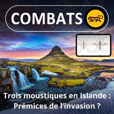 S05E26 Les premiers moustiques en Islande : le début d'une invasion ?
