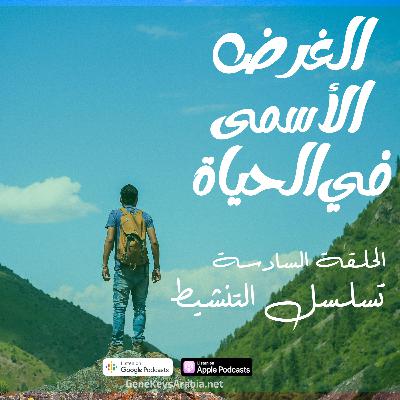 حلقة رقم 6- تسلسل التنشيط حلقة رقم 6- تسلسل التنشيط