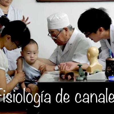 EL NIVEL YANGMING EN LA TEORIA APLICADA DE CANALES