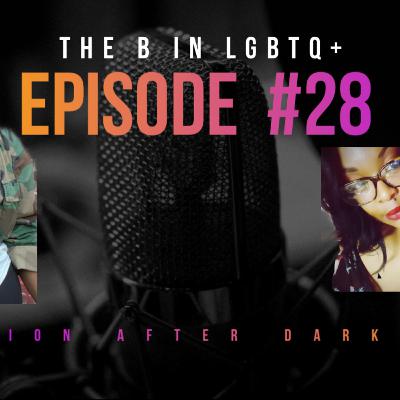 Episode 28: The B in LGBTQ +