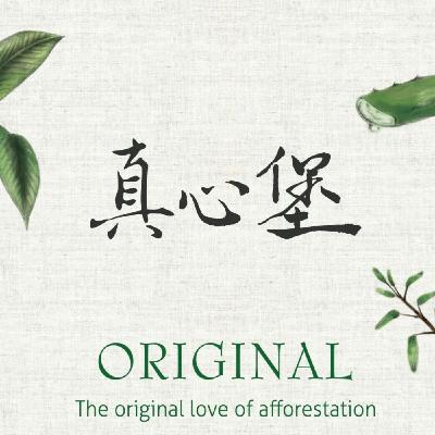 森林復育,從林開始,真心堡農場主人陳老師以「一滴水綠化全世界」逐步實現循環經濟的夢想,今天就讓堡主夫人書音帶我們進入嘉義中埔這片土地吧! 森林復育,從林開始,真心堡農場主人陳老師以「一滴水綠化全世界」逐步實現循環經濟的夢想,今天就讓堡主夫人書音帶我們進入嘉義中埔這片土地吧!