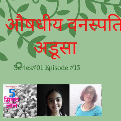 औषधीय वनस्पति : अडूसा (Medicinal Plants : (JUSTICIA ADHATODA)