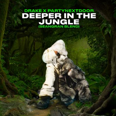 PND x Drake - Deeper in the Jungle (seangran blend)