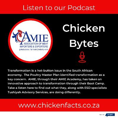The AMIE Academy approaches transformation differently. The AMIE Academy approaches transformation differently.