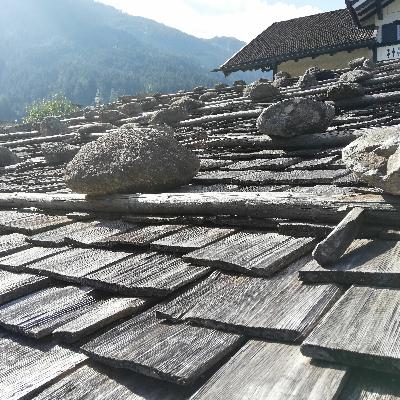 Devemos seguir teorias em tempos difíceis