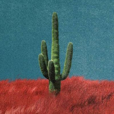 Un viaje por los materiales de impresión