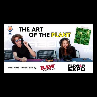 The Art of the Plant