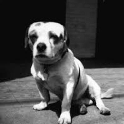 *PREVIEW* Soochow, The Drunk, Racist, Marine Corps Dog *LIVE IN GLASGOW*