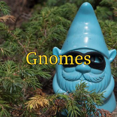 Gnomes Gnomes