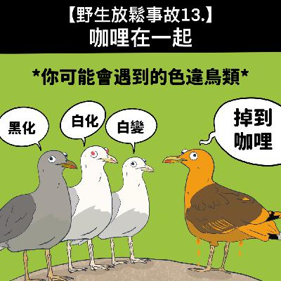 野生放鬆事故13. 咖哩在一起