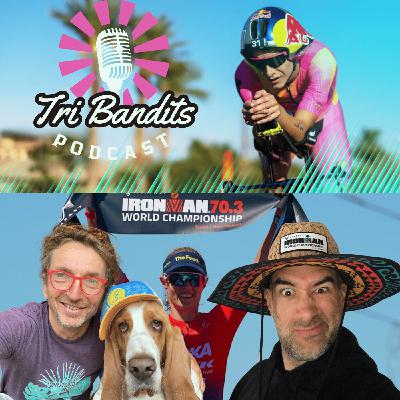 Épisode 65 : Bilan 2024 et Perspectives 2025 avec les TriBandits!