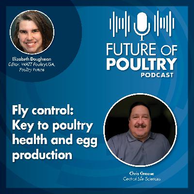 Fly control: Key to poultry health and egg production