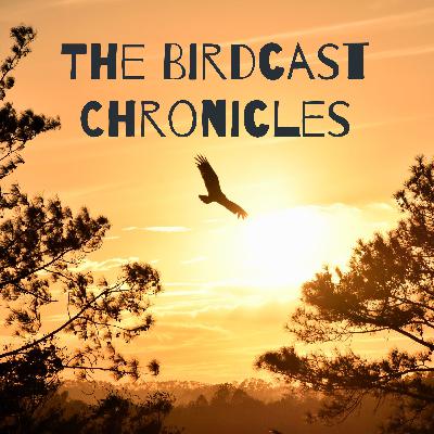 The Birdcast Chronicles: Lessons from Isolation VOLUME 1 The Birdcast Chronicles: Lessons from Isolation VOLUME 1