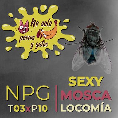 No Solo Perros y Gatos T03xE10: Sexy, mosca, Locomía