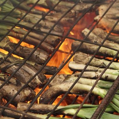 Calçotadas del sur