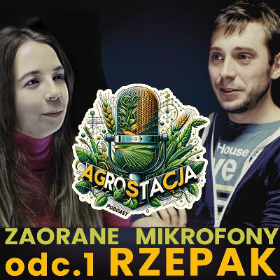 AGROSTACJA Podcast odc.1 - Rzepak w luksusie 🌱🎙️ Zaorane Mikrofony