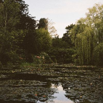 Jardineria y paisajismo