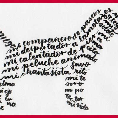 Explorando las formas de un poema!!