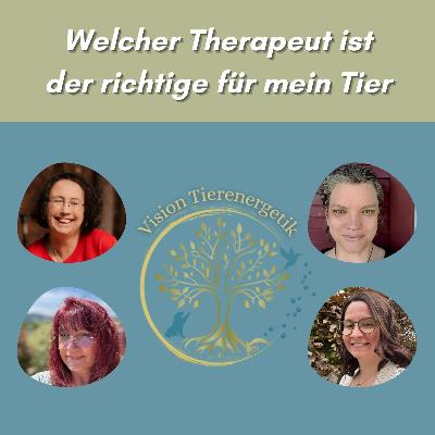No. 45 Welcher Therapeut ist der richtige für mein Tier?