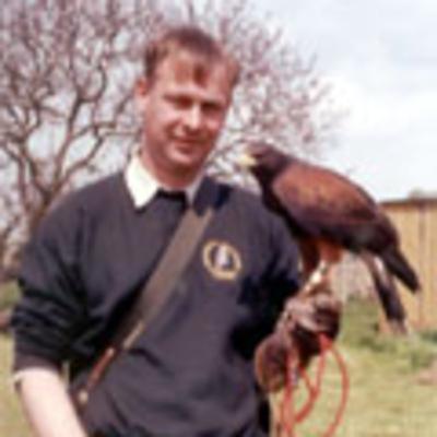 Neil Mumby - The Falconer