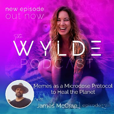 Memes as a Microdose Protocol to Heal the Planet with James McCrae #13- The Wylde Podcast