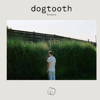 ODDR / Dogtooth