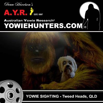 Yowie Sighting at Tweed Head, Queensland 1978