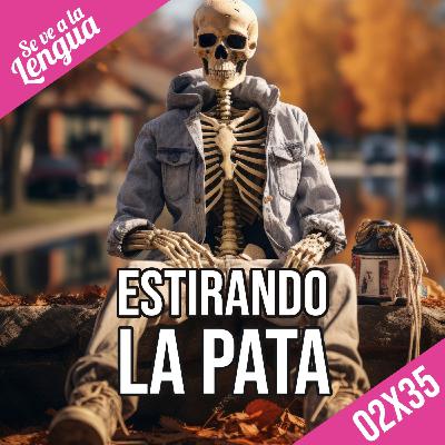 02X35: Frases para morir y Concurso cultureta 2