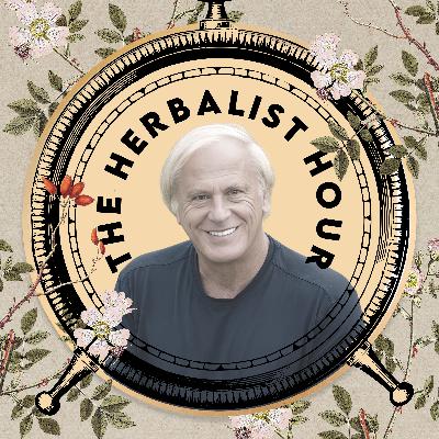 Inside Kokora | Regenerative Herbalism with Ric Scalzo [Founder]