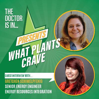 107. What Plants Crave feat. Gretchen Schimelpfenig: CEA Energy Management 107. What Plants Crave feat. Gretchen Schimelpfenig: CEA Energy Management