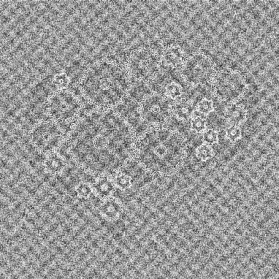 #8 Freier Wille #8 Freier Wille