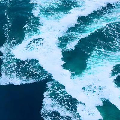 Niveau de la mer, poussins, jalousie et neutrinos