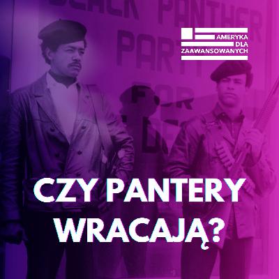 ICE to narzędzie rasizmu. Dlaczego mniejszości etniczne w USA nie ufają władzy?