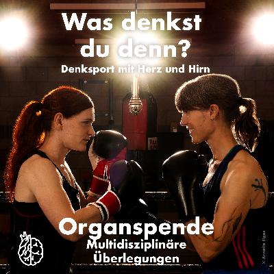 Organspende Organspende
