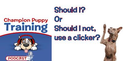 Should you or should you not use a clicker for training?