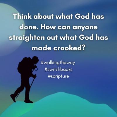 Walking the Way 14th November 2025 - Switchbacks Walking the Way 14th November 2025 - Switchbacks