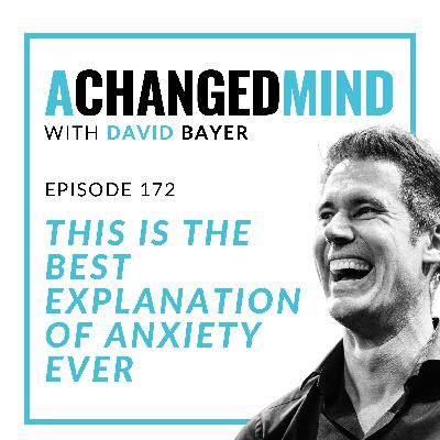 172 This is The Best Explanation of Anxiety Ever
