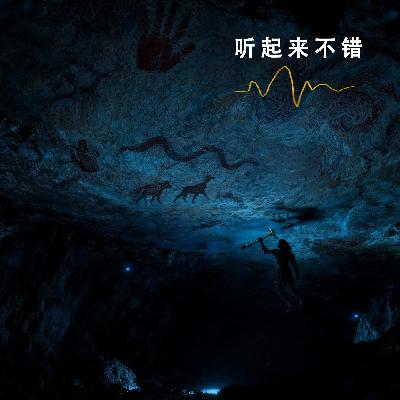 010 | 被回声塑造的人类