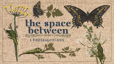 Let the Word Do the Work