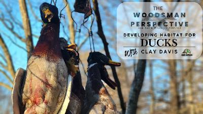 Episode 67 Developing Habitat for Ducks with Clay Davis