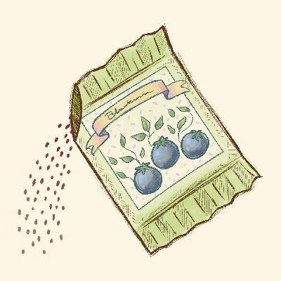 Chapter 5: Calamity at the Convention